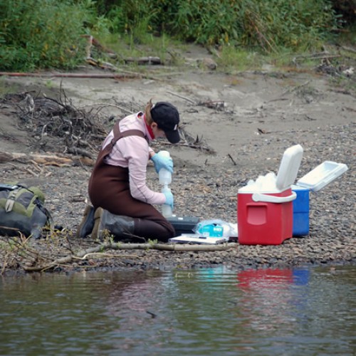 Livengood Water Collection