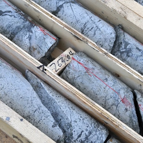  Livengood Drill Core