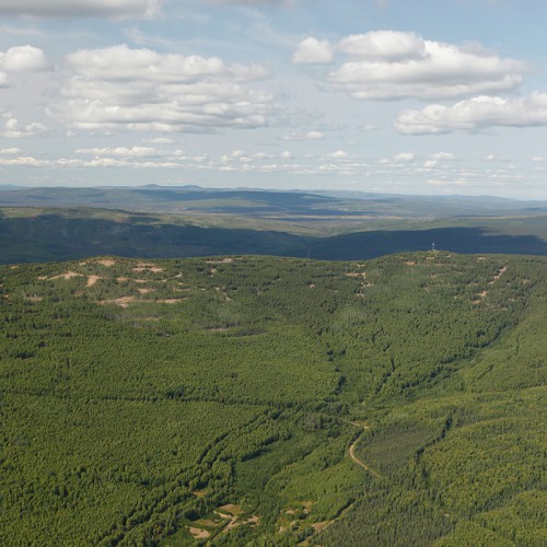 Looking north to Money Knob - the core of the Livengood Gold Project